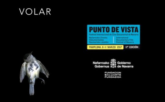 Punto de Vista 2017. Festival Internacional de Cine Documental de Navarra